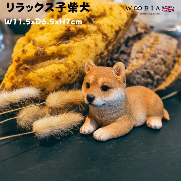 置物 犬 かわいい 動物 玄関 リラックス子柴犬 グッズ おしゃれ インテリア 卓上 ガーデン 庭 ...