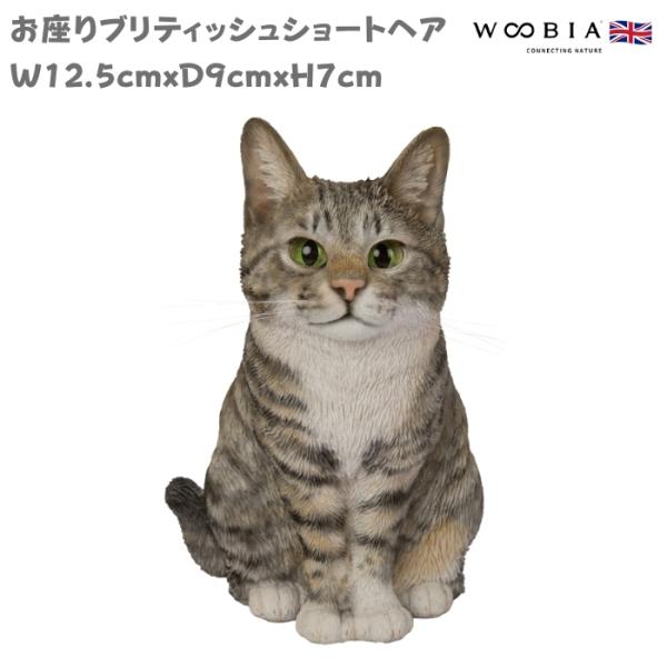 置物 動物 猫 お座りブリティッシュショートヘア キジトラネコ 高さ19.5cm woobia おし...