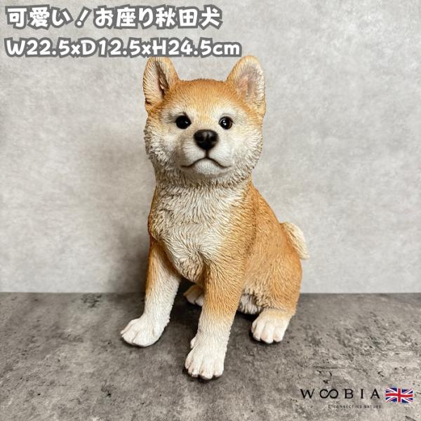 置物 動物 お座り秋田犬 犬グッズ 高さ24.5cm woobia おしゃれ 大きい 玄関 インテリ...