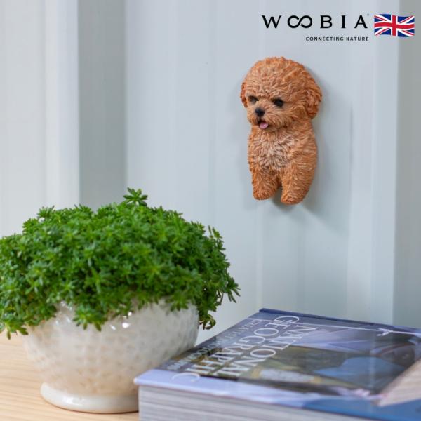 かわいい犬のオブジェ プードルのマグネット イヌ おしゃれ 玄関 インテリア 卓上 woobia ウ...