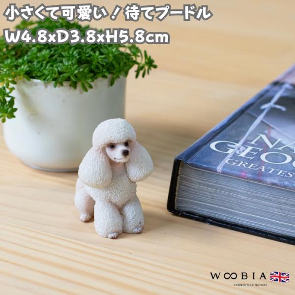 置物 犬 かわいい 動物 玄関 待てプードル 小さいオブジェ おしゃれ トイレ インテリア ガーデン...