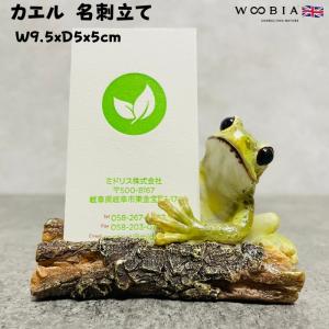 信楽焼 蛙 置物 かえる 陶器 縁起物 かわいい カエル おしゃれ ギフト