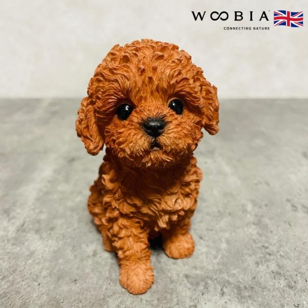 置物 犬 かわいい 動物 玄関 頭を上げるプードル イヌ おしゃれ インテリア 卓上 ガーデン プレ...