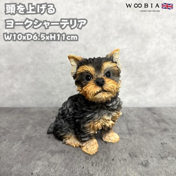 犬 置物 おしゃれ 頭を上げるヨークシャーテリア かわいい 動物 インテリア オブジェ ガーデンオー...