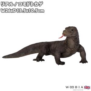 コモドドラゴンの木彫り 40cm コモドオオトカゲの置物 コモドドラゴン