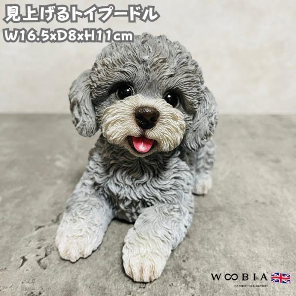 置物 犬 かわいい 動物 玄関 見上げるトイプードル グレー おしゃれ インテリア ガーデンオーナメ...