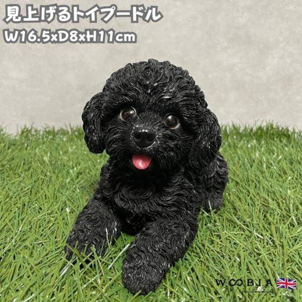 置物 犬 かわいい 動物 玄関 見上げるトイプードル ブラック おしゃれ インテリア ガーデンオーナ...