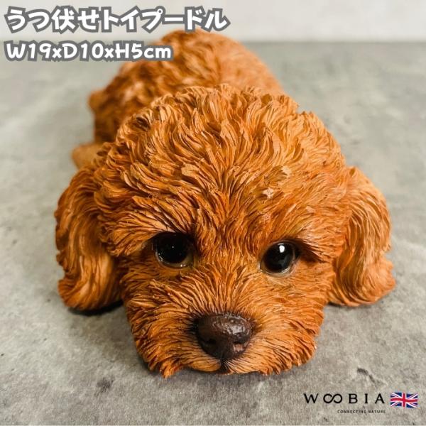 置物 犬 かわいい 動物 玄関 うつぶせトイプードル おしゃれ インテリア ガーデン woobia ...