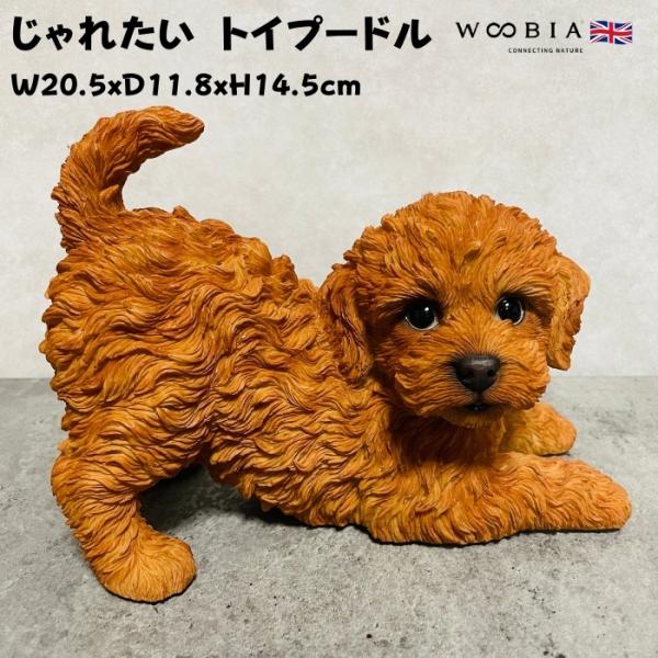 置物 犬 かわいい 動物 玄関 じゃれたい トイプードル おしゃれ インテリア ガーデンオーナメント...