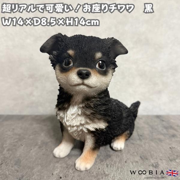 置物 犬 お座りチワワ 黒 高さ14cm woobia ウービア リアル かわいい 玄関 インテリア...