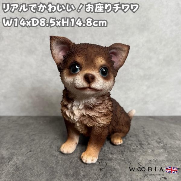 犬 置物 おしゃれ お座りチワワ ブラウン かわいい 動物 インテリア オブジェ ガーデンオーナメン...