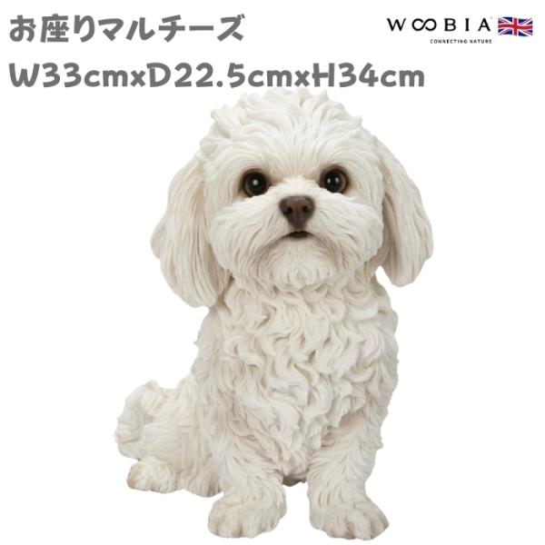 犬 置物 大型 動物 おすわりマルチーズ イヌ 高さ34cm woobia おしゃれ 大きい 玄関 ...