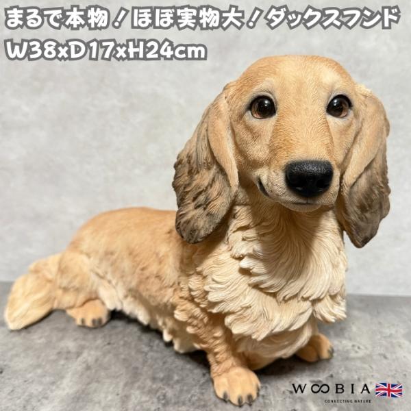 犬 置物 大型 動物 ダックスフンド クリーム 大 高さ24cm woobia おしゃれ 大きい 玄...