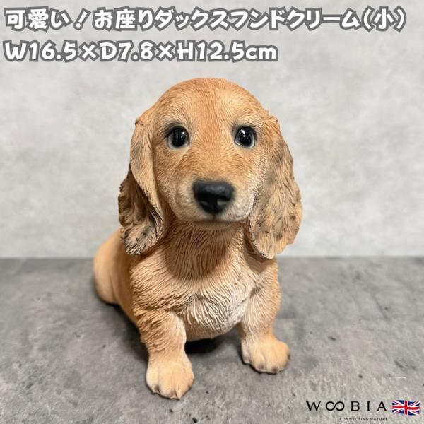 置物 犬 ダックスフンド クリーム 幅16.5cm woobia ウービア リアル かわいい 玄関 ...