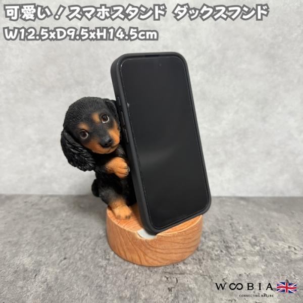 スマホスタンド 卓上 おもしろ 犬グッズ 動物 ダックスフンドブラックタン かわいい置物 おしゃれ ...