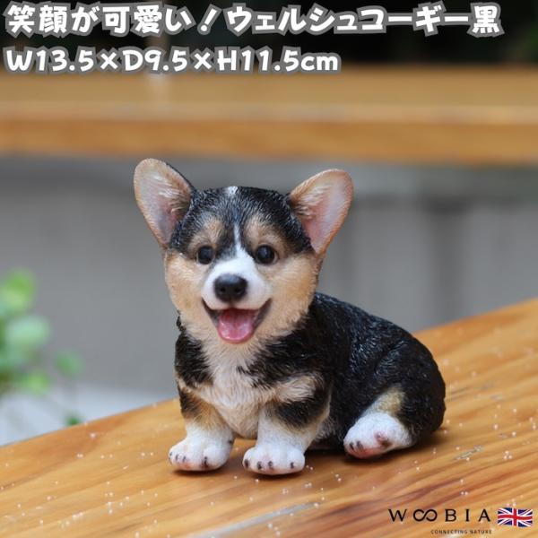 犬 置物 おしゃれ 左向き座りウェルシュコーギー黒 中 高さ11.5cm かわいい 動物 インテリア...