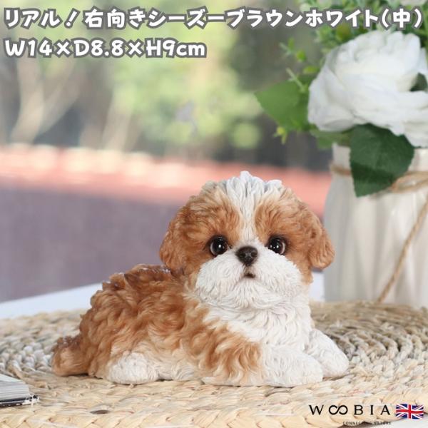 犬 置物 右向きシーズー ブラウンホワイト 中 横幅14cm WOOBIA リアル 可愛い おしゃれ...