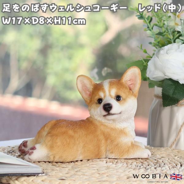犬 置物 足をのばすウェルシュコーギー レッド 中 横幅17cm WOOBIA リアル 可愛い おし...