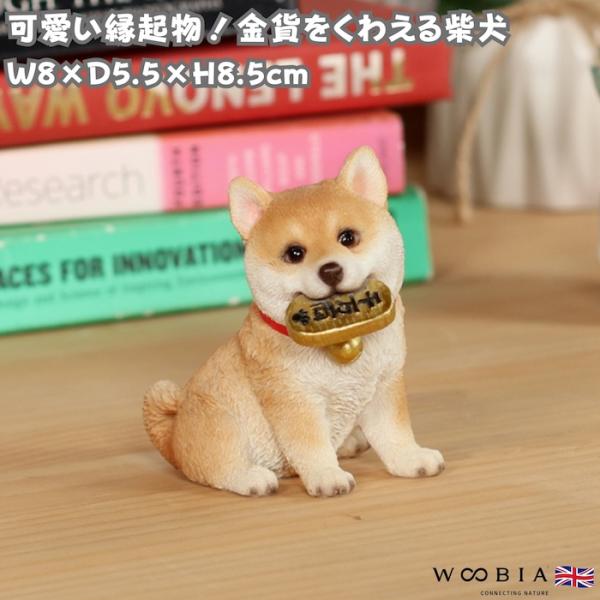 犬 置物 モチーフ金貨をくわえる柴犬 縁起物 開運 高さ8.5cm WOOBIA リアル 可愛い お...