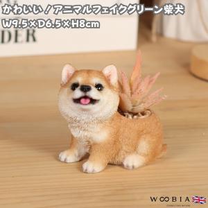 リアルなミニチュアシュナウザー子犬の彫像高さ15.9cm動物犬
