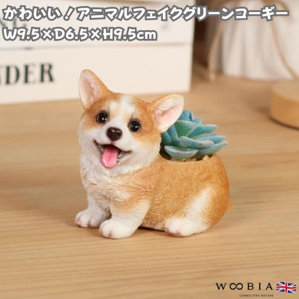 置物 犬 玄関 インテリア 卓上 コーギー レッド アニマルフェイクグリーン 幅9.5cm WOOB...