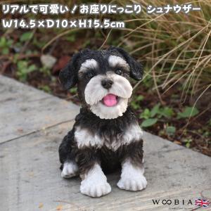 リアルなミニチュアシュナウザー子犬の彫像高さ15.9cm動物犬