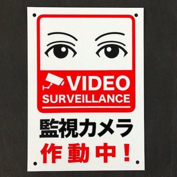 目が合う防犯用 監視カメラ作動中 看板 標識 サイン プレート 35cm×25cm 四隅穴アケ 結束...