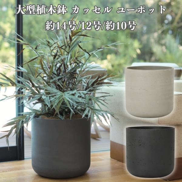 植木鉢 おしゃれ 大型 サイズ 15号 13号 10号 円柱 筒型 ストレート セメント コンクリー...