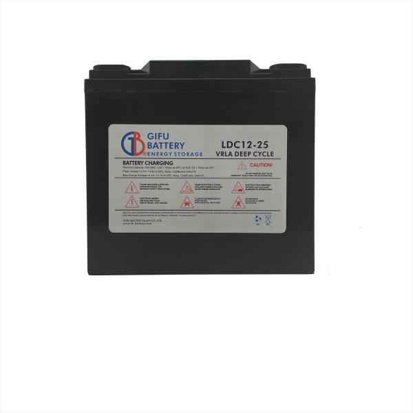 ディープサイクルバッテリー LDC12-25 新品 本体 岐阜バッテリー