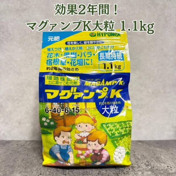 マグァンプK 大粒 1.1kg 肥料 元肥 緩効性 ハイポネックス 土に混ぜるだけ 約2年間効く 花...