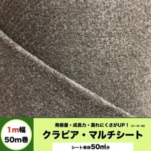 マルチシート クラピア用 （50m2） 1m幅50m巻 吸水性 透水性アップ