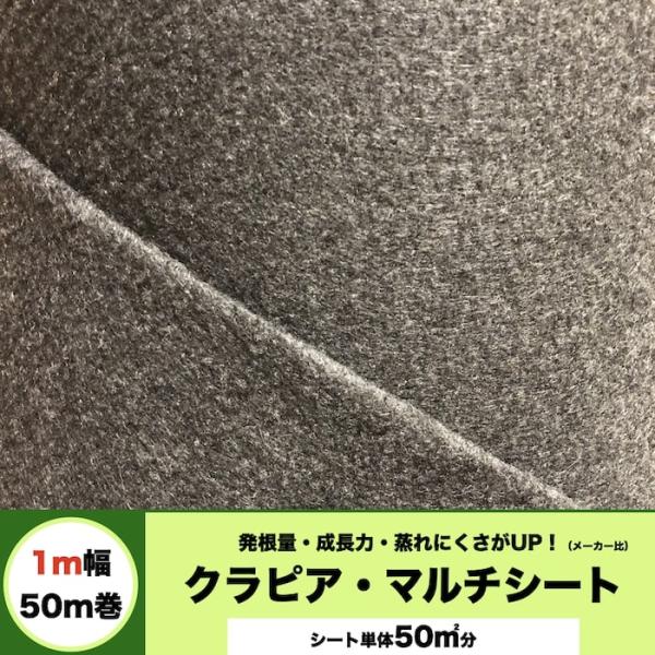 マルチシート クラピア用 （50m2） 1m幅50m巻 吸水性 透水性アップ 病気になりにくい