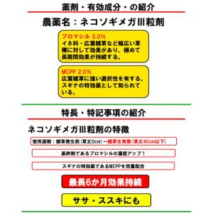 除草剤 顆粒 強力 ネコソギメガ粒剤3 7kg...の詳細画像3