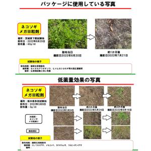 除草剤 顆粒 強力 ネコソギメガ粒剤3 7kg...の詳細画像4
