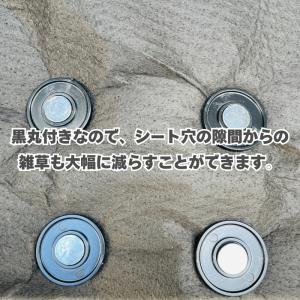 楽りゃく釘 15cm 500本入(50P×10...の詳細画像3