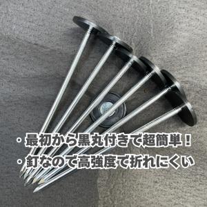 楽りゃく釘 20cm 500本入(10P×50...の詳細画像1