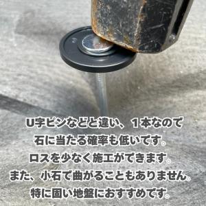 楽りゃく釘 20cm 50本入(50P袋) 防...の詳細画像2
