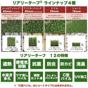 高級人工芝 リアリーターフ ヨーロピアンロング...の詳細画像1