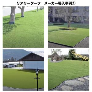 高級人工芝 リアリーターフ ヨーロピアンロング...の詳細画像4