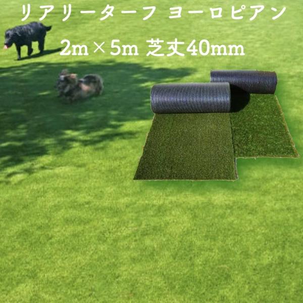 高級人工芝 リアリーターフ ヨーロピアンロング パイル40mm 2m×5m【個人様条件付き配送可能】...