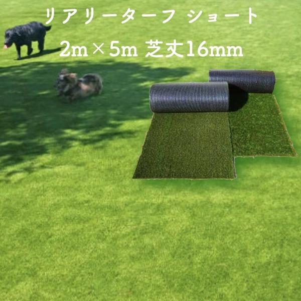 高級人工芝 リアリーターフ ショート パイル16mm 2m×5m【個人様条件付き配送可能】 ロールタ...