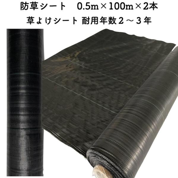 防草シート 0.5m×100m 2本セット 耐久年数2年から3年 草よけシート 抗菌剤 UV剤入り ...