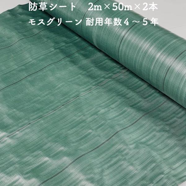 防草シート 2m×50m 2本セット 耐久年数4年から5年 モスグリーン 抗菌剤 UV剤入り 除草シ...