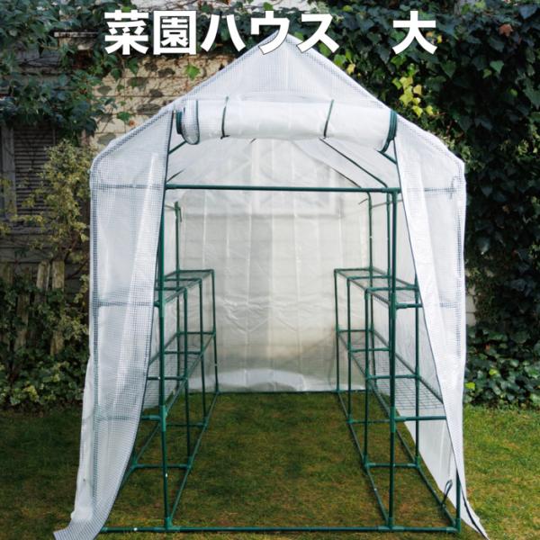 園芸用 菜園ハウス Lサイズ ビニールハウス 小型 家庭用 約3平米 棚付き 幅143×奥行216×...
