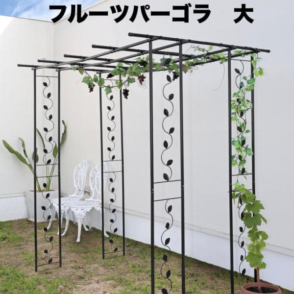 フルーツパーゴラ 大 幅120×奥行90×高さ180cm 果物棚 藤棚 ふじ棚 ぶどう棚 葡萄棚 園...