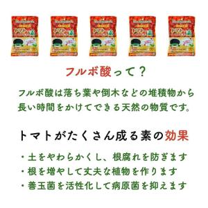トマトがたくさん成る素 150g×2袋 合計3...の詳細画像1
