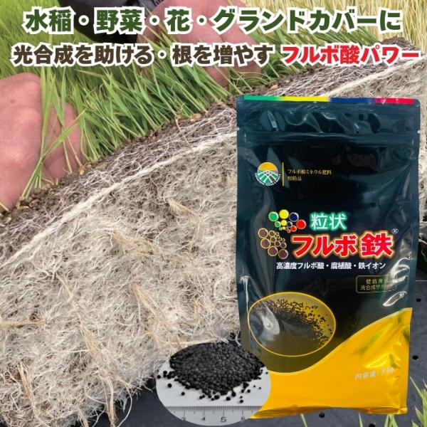 粒状フルボ鉄 3kg 肥料 土壌改良資材入り指定混合肥料 高濃度フルボ酸 腐植酸 水稲 野菜 花 グ...