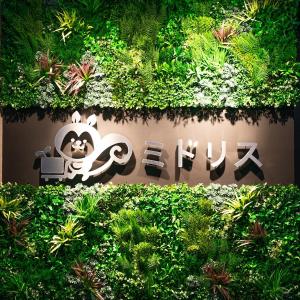 高級人工壁面緑化植物 ビスタフォリア 80cm...の詳細画像3