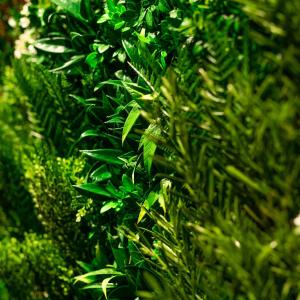 高級人工壁面緑化植物 ビスタフォリア 80cm...の詳細画像5