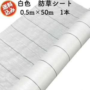 防草シート 白色（サンホワイト） 0.5m×50m 1本セット 抗菌剤 UV剤入り 反射 除草シート 太陽光 野菜 畑 農業｜midoris